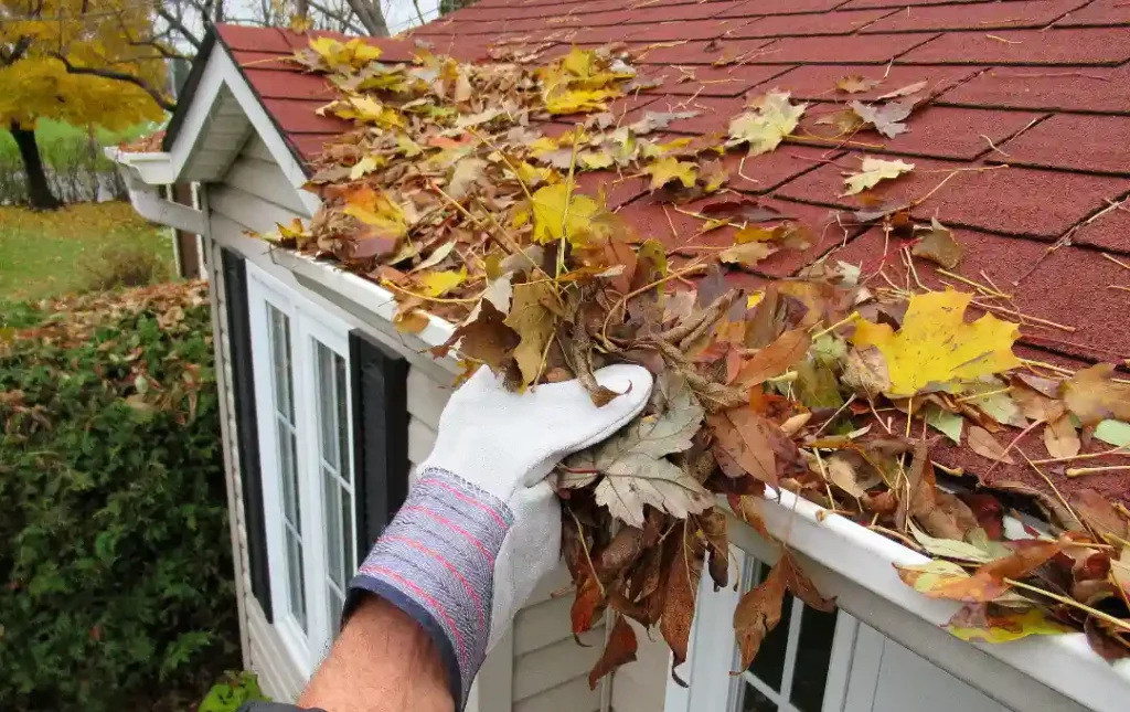 Removing leaves from gutter of suburban home